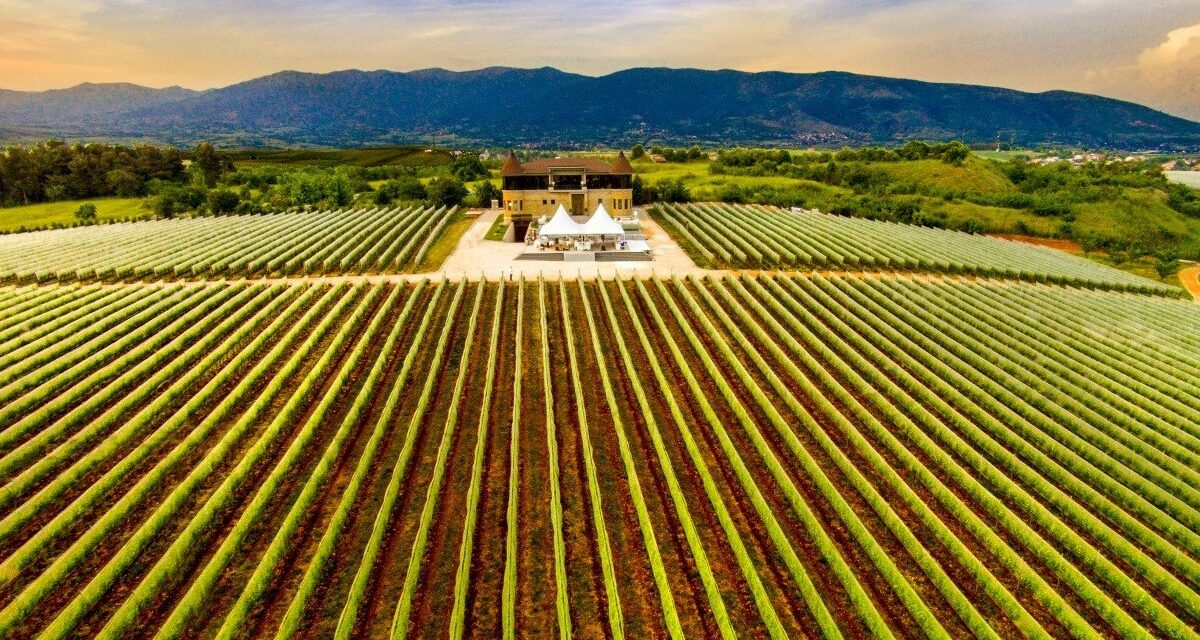 Wine roads of Macedonia